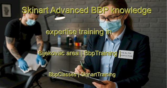 Skinart Advanced BBP knowledge expertise training in Sijekovac area | BbpTraining | BbpClasses | SkinartTraining-Bosnia and Herzegovina